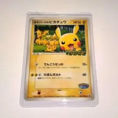 2025年最新】ポケパークのピカチュウの人気アイテム - メルカリ