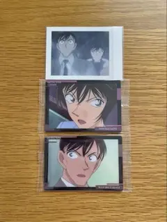 名探偵コナン　ぱしゃこれ　隻眼の残像　イタジャガVol.5　佐藤美和子　高木渉