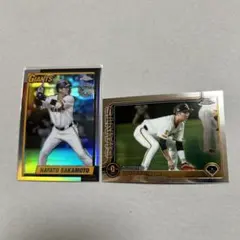 Item thumbnail for item 291d06f0-ba0c-47a8-b694-3427c8a1f866