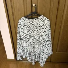 Item thumbnail for item a454604a-d20f-42b4-9c30-fdeefff81d4e