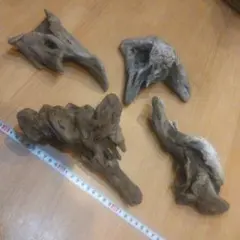 Item thumbnail for item b4ccedad-d30f-43ff-9036-93a4ce134047