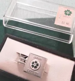 Item thumbnail for item c1d0d8f4-c398-4257-b9b2-31d2d2d0c4a8