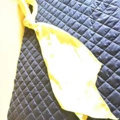 Item thumbnail for item 17ef4e55-7291-4662-95c7-93e378935d78