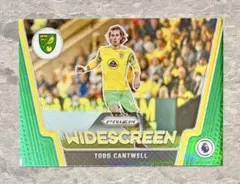Panini Prizm Soccer トッド・キャントウェル 5枚限定