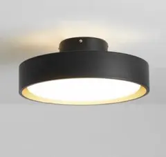 Item thumbnail for item 40696e0c-a0bf-4ad2-b422-c4e2e64ef74e