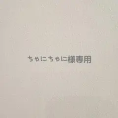 ちゃにちゃに様専用 GIANT FC盤 3枚×2セット