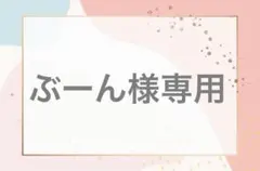 ぶーん様専用ページ