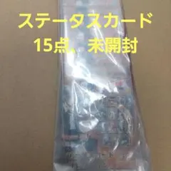 家庭教師ヒットマンREBORN　ステータスカード　未開封