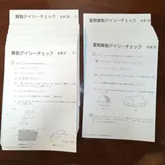 2026年最新】デイリーチェック サピックスの人気アイテム - メルカリ