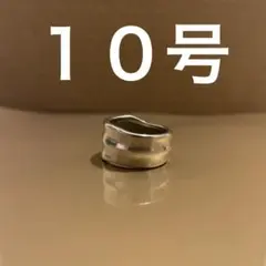 TIFFANY リーフ リング 10号