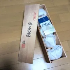 有田焼 湯飲み 5個セット 木箱付き