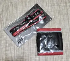 Stray Kids dominATE HAN セット