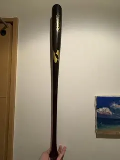 SO professional バット 特別注文