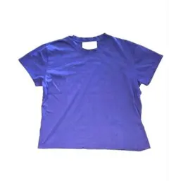 スタジオニコルソンstudio nicholson/Tシャツ 使用品のサムネイル