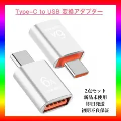 【即日発送】Type-C to USB 変換アダプター 2点セット　シルバー