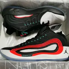 JORDAN LUKA 4 PF ジョーダン　ルカ　4 PF 25cm US7