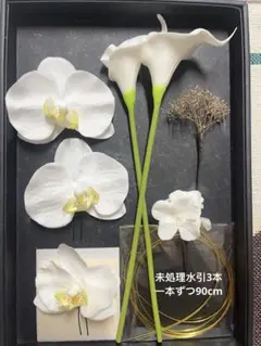 訳あり　成人式 卒業式 結婚式 髪飾り ホワイト×ゴールド 胡蝶蘭 カラー