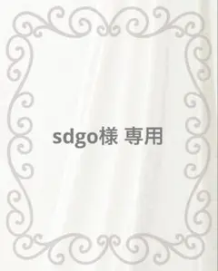 sdgo様専用ページ　トレカケース
