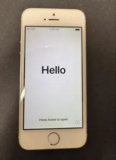 Apple iPhone 5S 本体