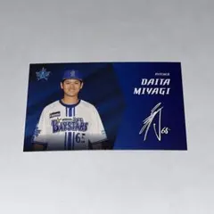 【限定記念品】ベイスターズ 日本一記念ユニフォーム 宮城滝太選手直筆サイン入り 限定記念品】ベイスターズ 日本一記念ユニフォーム 宮城滝太選手