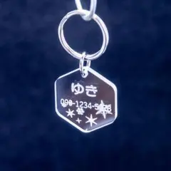 Item thumbnail for item be867179-20f9-4b67-bedc-af73963f0f2b