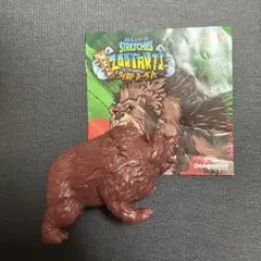クマアラシ　ブックレット ストレッチーズ　ワイルドズータント　デアゴスティーニ