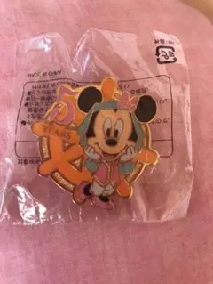 新品未使用　ディズニーシー　5周年記念　ピンズ