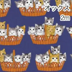 ラスト3点 2m かご猫 ネイビー オックス