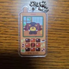 カフェ　アクキー