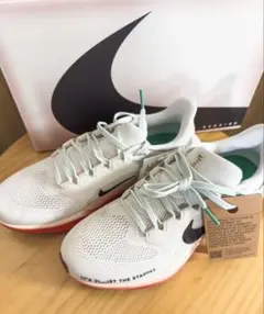 NIKE ナイキ エアズームペガサス41 新品未使用 ランシュー