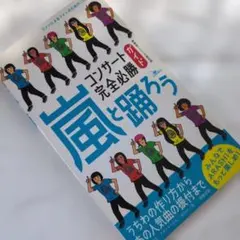 嵐と踊ろうコンサート完全必勝ガイド : ARASHIをもっと楽しめ!