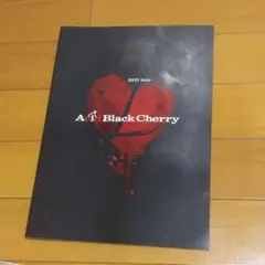 2026年最新】CHERRY写真集 ACIDの人気アイテム - メルカリ