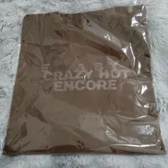 lesserafim トートバッグ　ブラウン　ツアー　限定