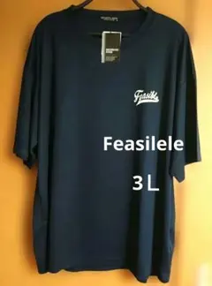 最終価格・RECORDING BIRDS Feasible Tシャツ・3Ｌ・新品のサムネイル