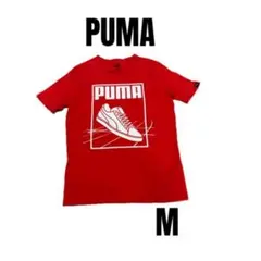 Item thumbnail for item 1eb53d1e-90e6-498e-af74-d10cdabf0001