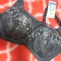 Item thumbnail for item d40d8172-8db5-491f-87bb-edd795db5f5d