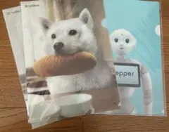 【非売品】新品未使用のSoftBank お父さん犬　クリアファイルセット