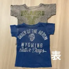 Item thumbnail for item 950f5340-1610-49d3-b273-69d84c3c90d0