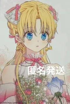 ある日、お姫様になってしまった件について 12 特典　アニメイト　ある姫