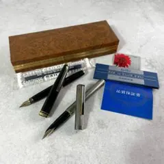 新品 赤の静かな情熱｜セーラー万年筆 プロムナード シャイニング