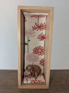 プードルボックス　曼珠沙華　菊