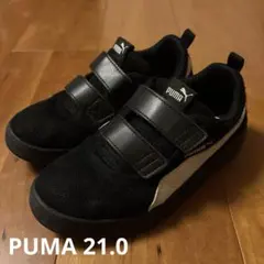 Item thumbnail for item 71f21cca-6460-4971-b1d5-10d41396dc40