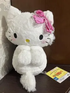 サンリオキャラクターズ COROCO BIGぬいぐるみ　チャーミーキティ
