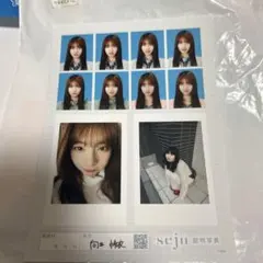 向井怜衣 seju 証明写真