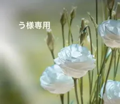 う様専用新品/タグ付き⭐︎女優完売品＊French pave ロングコート