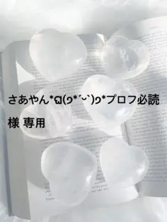 さあやん*ଘ(੭*ˊᵕˋ)੭*プロフ必読 様 専用