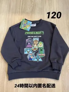 Minecraft マインクラフト 裏毛トレーナー 120㎝【新品タグ付き】