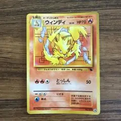 ウインディ イントロパック