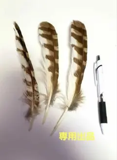 みどりこ様 リクエスト 3点 まとめ商品