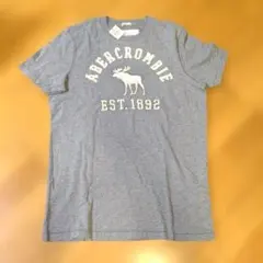 【年末セール！】Abercrombie & Fitch グレー Tシャツ L